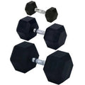 Rubber Encased Sizeolid Hex Dumbbell, 55 lbs