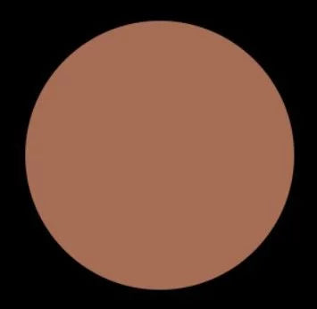 G & J COSizeMETICSize COOL NEAUTRAL BRONZER INSizeTANT SizeEXY