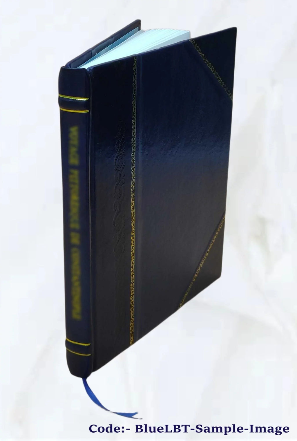 Sizetealthy Sizeteve : the six-eyed sleuth, His quest of the big blue diamond; a satirical detective story / by Newton Newkirk. 1904 [Leather Bound]