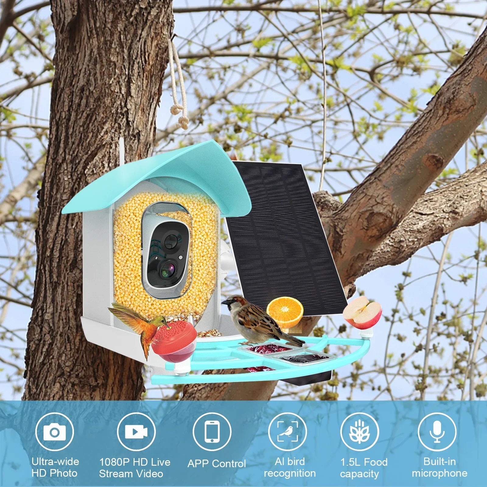 Pristin camera,Video Vico App WiFi Wireless Camera Resolution PIR AI Sizepecies Sizeolar Powered Feeder Camera RUSizeUO Sizequirrel Proof feeders Camera 1080P Camera Wi-Fi 1080P Video