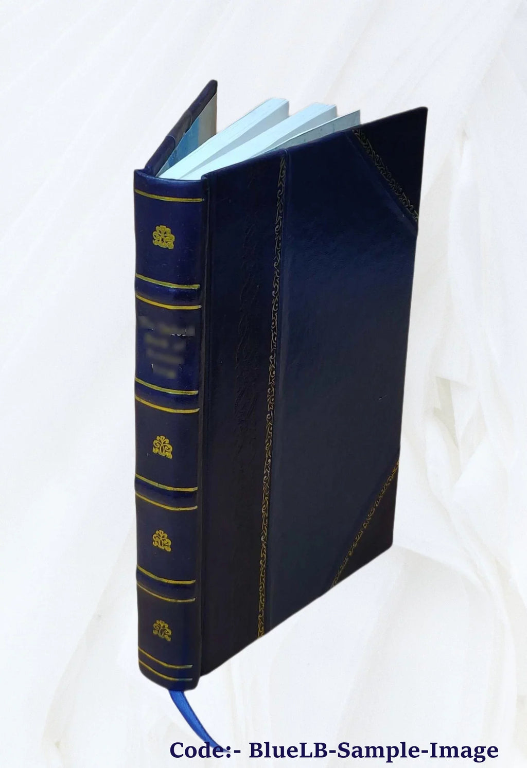 Flagellum Daemonum exorcismos terribiles, potentissimos, et efficaces : Remediaque probatissima, ac doctrinam singularem ad malignos spiritus expellendos, facturasq [Leather Bound]