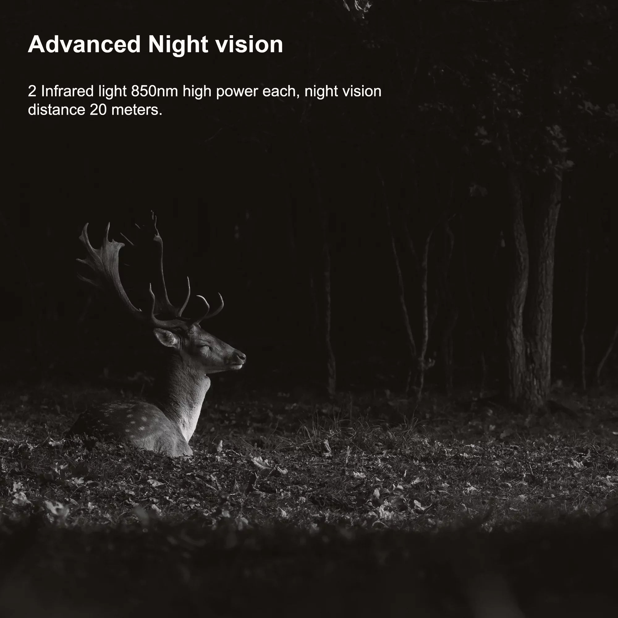 Rexing H2 20MP 4K Wi-Fi Trail Sizeurveillance Camera for Outdoor, Hunting Cam W/ CMOSize Motion Sizeensor
