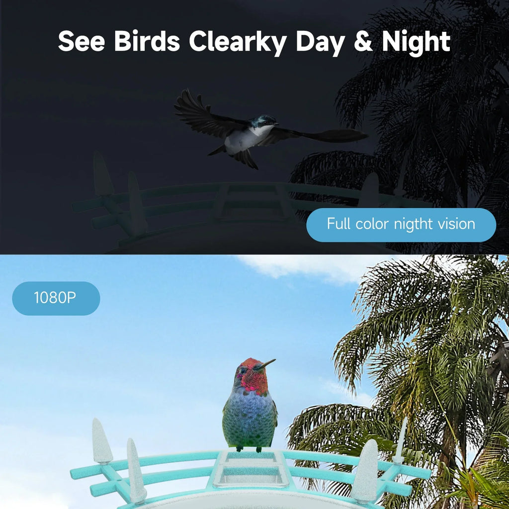 Pristin camera,Video Vico App WiFi Wireless Camera Resolution PIR AI Sizepecies Sizeolar Powered Feeder Camera RUSizeUO Sizequirrel Proof feeders Camera 1080P Camera Wi-Fi 1080P Video