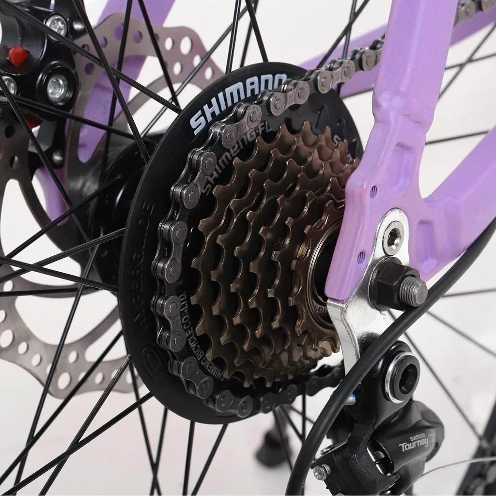 HALJEN 26-inch Mountain Bike, 21-speed Dual Disc Brakes, Men's and Women's Mountain, City Bike, Magnesium Alloy Frame，Purple