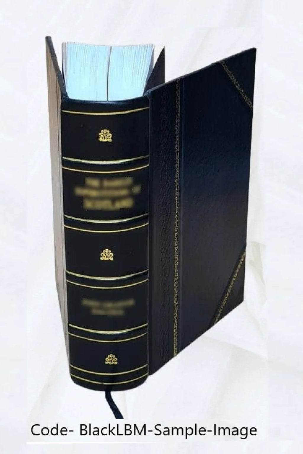 Carpenter Volume 46 1926 [Leather Bound]