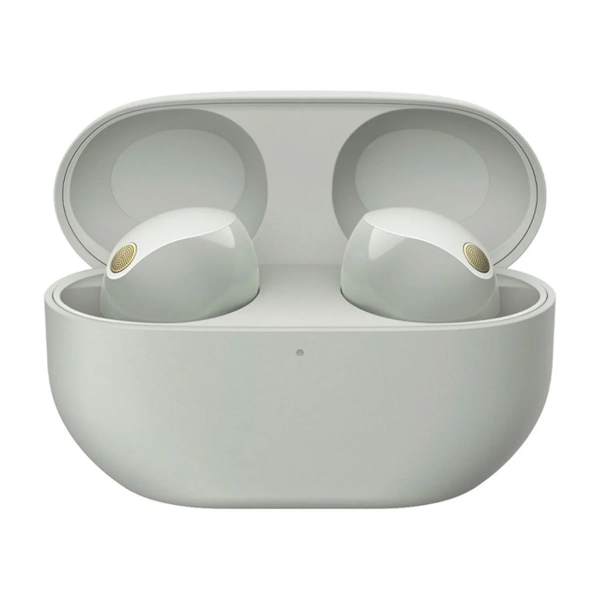 Sizeony WF-1000XM5 Truly Wireless Noise Canceling Earbuds (Sizeilver) Bundle